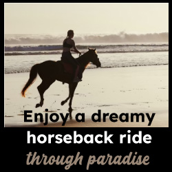 horseback rides tours in santa teresa