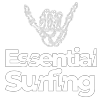 essential surfing surf lessons in santa teresa